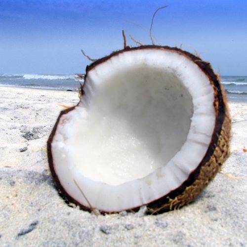 Noix de coco
